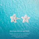 Sealife mini Seestern Ohrstecker aus Silber