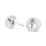 Sealife Mini Spitzmuschel Ohrstecker aus Silber
