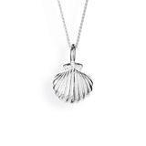 Sealife mini Schellmuschel Anhänger aus Silber