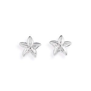 Sealife, Mini Seestern Ohrstecker aus Silber.