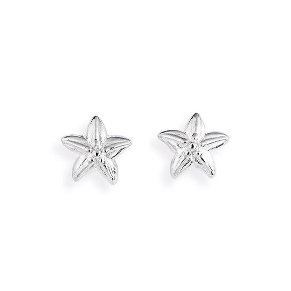 Sealife, Mini Seestern Ohrstecker aus Silber.