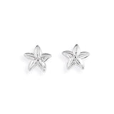 Sealife, Mini Seestern Ohrstecker aus Silber.