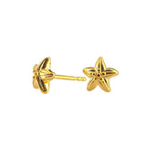 Sealife mini Seestern Ohrstecker aus Silber goldplattiert