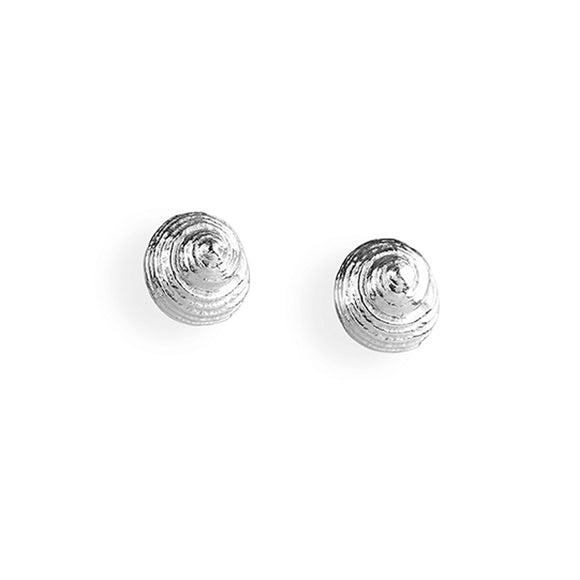Sealife Mini Spitzmuschel Ohrstecker aus Silber