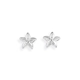 Sealife mini Seestern Ohrstecker aus Silber